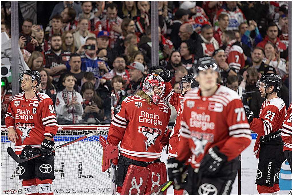 PENNY DEL;  Koelner Haie - Duesseldorfer EG; Koeln, 02.01.2023